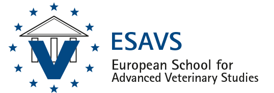 Logo Esavs